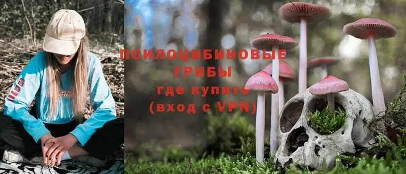 ОМГ ОМГ   Невельск  Псилоцибиновые грибы Psilocybe  как найти закладки 